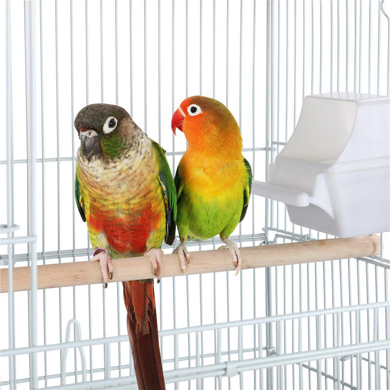 Cage à oiseaux avec perchoir 41 po Gabel, Blanc