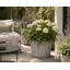 Robin Round Bucket Planter, Contemporary Concrete Effect, Round Indoor and Outdoor Plant Pot with Drainage Hole-1586262049-1586262077