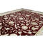 Walton Oriental Area Rug