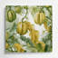 Légumes, art mural vert Luffa Luffa-36855494