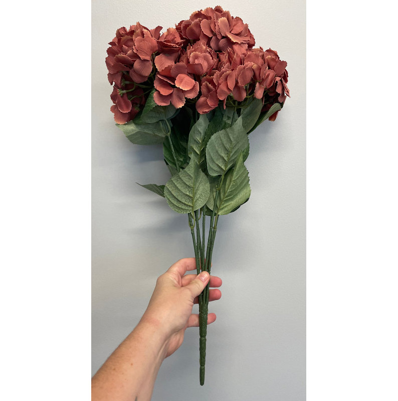 Tiges d'hortensias