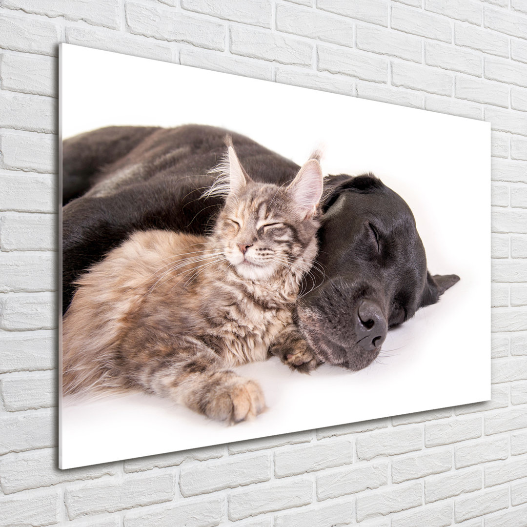 Glasbild Hund mit Katze