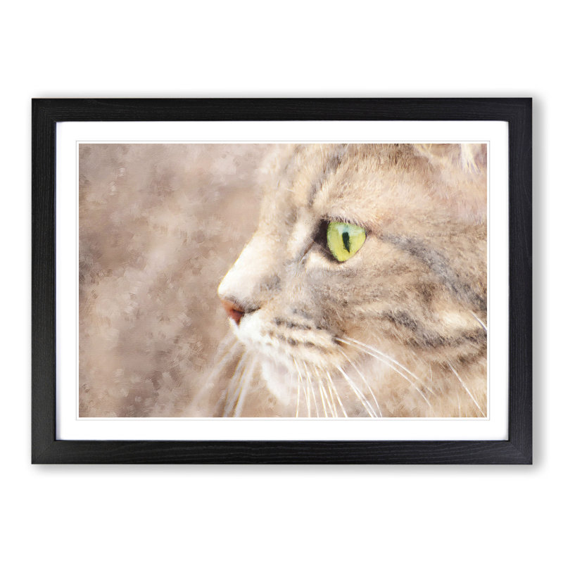 Portrait of a Cat Vol.13 - Framed Print, 27cm H x 36cm W x 2cm D, Black Framed