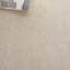 Tapis beige Sisal Performance 104-578285562