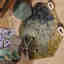 Customer photo 2 of 2