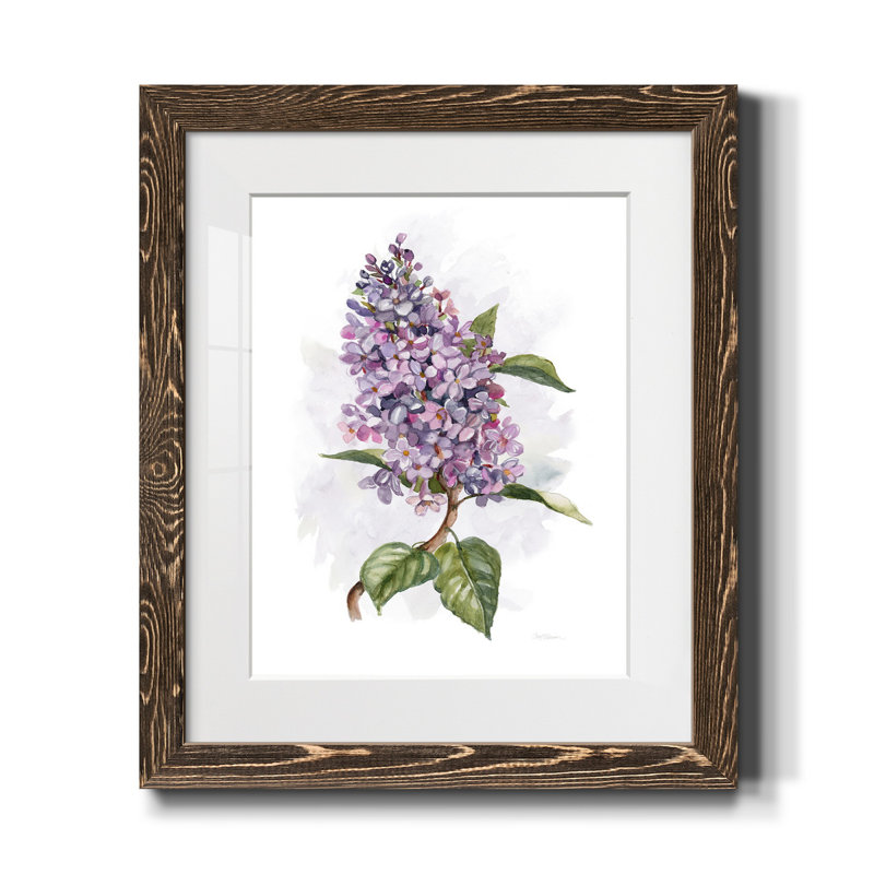 Awash In Lilac II - impression, Noyer, H 24 po x l 18 po x P 1,5 po