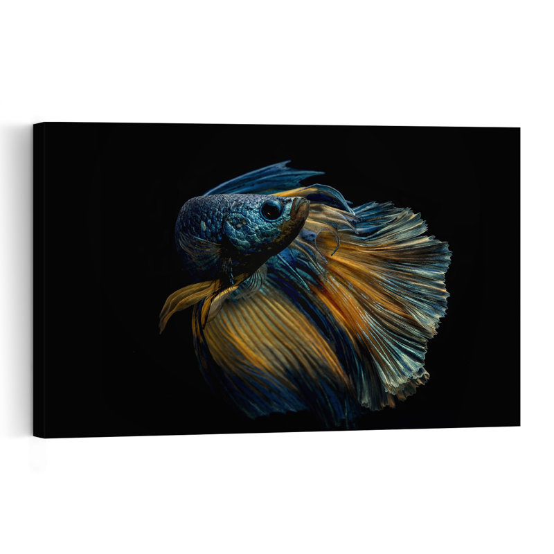 Elegant Betta Fish Colorful Delicate Elegant Fish Nature Portrait Wall Art Print by Andi Halil - Print, 30.48cm H x 45.72cm W