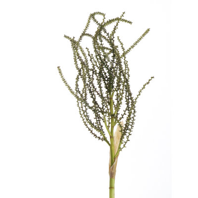 33"SMALL PALM SEED SPRAY
