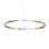 Anillo 1 - Light LED Pendant