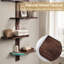 Tablettes flottantes modernes pour mur