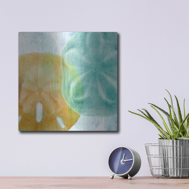 «Luminous Seashells» par Elena Ray, H 12 po x l 12 po