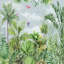 Brise tropicale avec oiseaux - Collection Botanical Oasis-1815918401