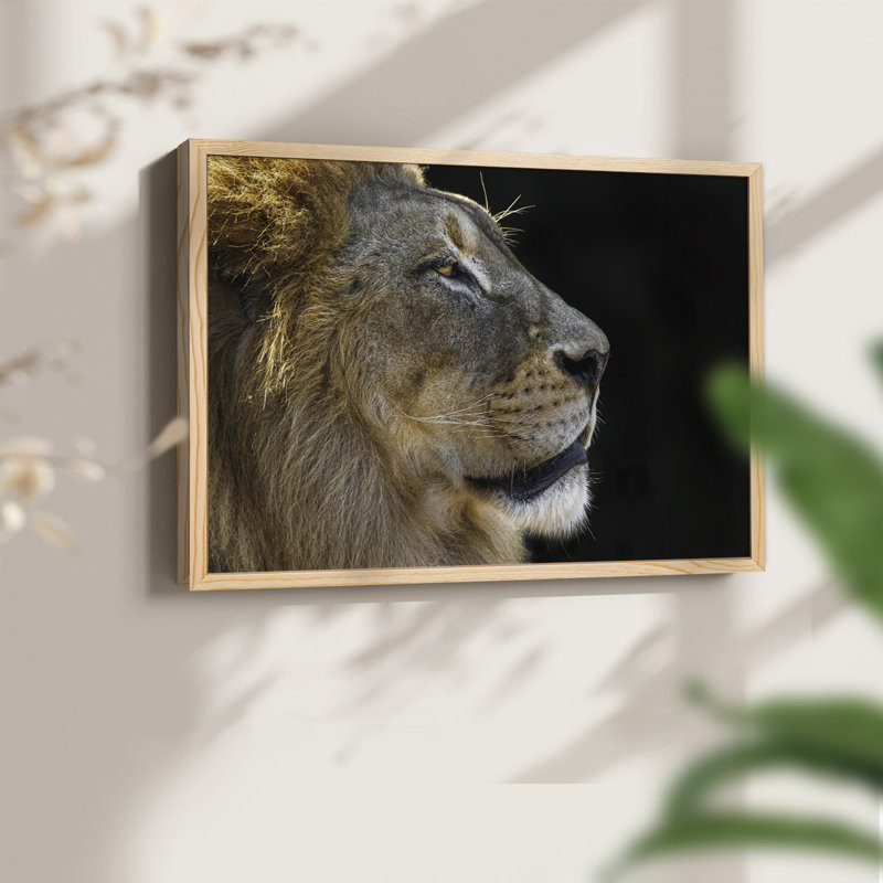 The King - Reproduction encadrée - Restickable, H 8 po x l 10 po, Naturel