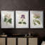 Antique Botanical Collection-522022678-522022666