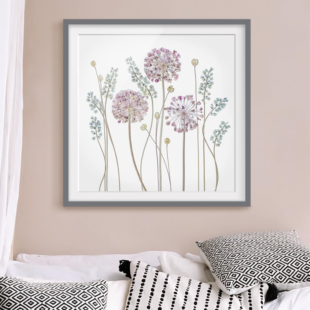 Gerahmtes Papierbild Allium Illustration