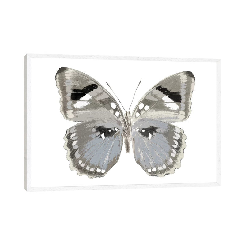 Butterfly In Grey II by Julia Bosco - Gallery-Wrapped Canvas Giclée on Canvas, 101.6cm H x 152.4cm W, White Framed