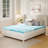 4" Gel Memory Foam Mattress Topper - Sleep by Wayfair™-1698385489-1679371664