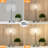 Deyontae Crystal Touch Table Lamp with USB C+A Ports, 3 Way Dimmable Lamp with Crystal Shade-2033137602-2033137603