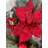 Hanspeter Faux Poinsettia 22'' Wreath