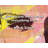 Artsy Quote "First we eat, then we do everything else." By M.F.K. Fisher Gallery Wrapped Canvas-1543180930