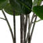 140cm Plant