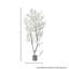 Cornouiller de 6,5 pi Southern-1119991207