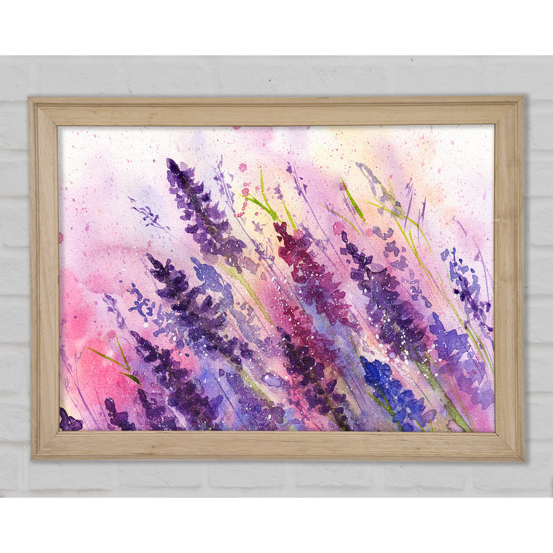 Gerahmtes Leinwandbild Lavender Colour Splash