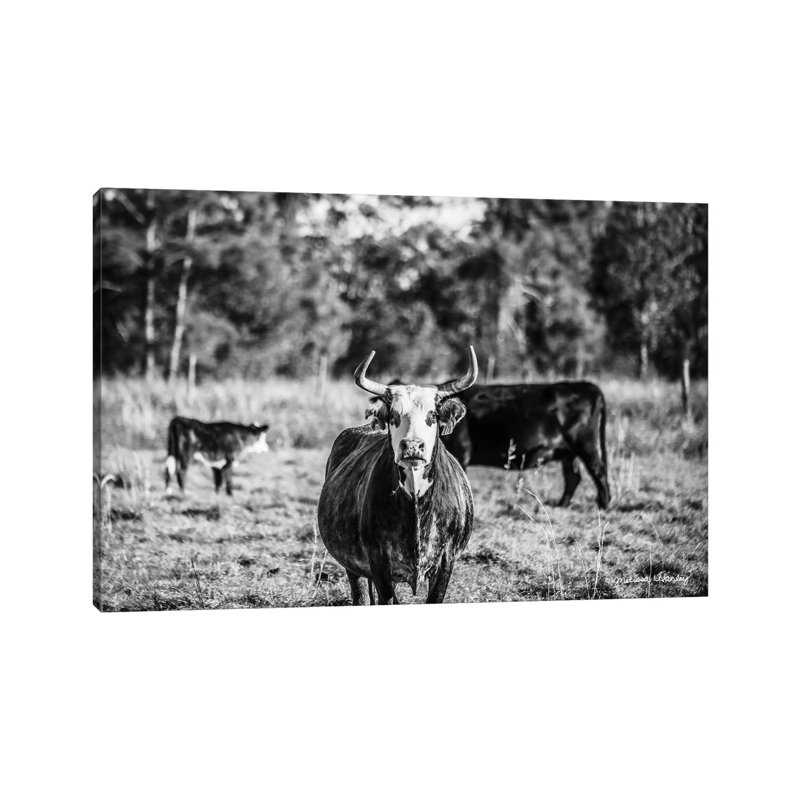 Black & White Steer 1 Piece Wrapped Canvas Wall Art, 101.6 cm H x 66.04 cm W x 1.91 cm D