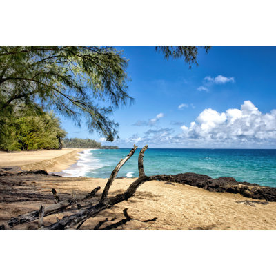 " Lumahai Beach " by Danny Head