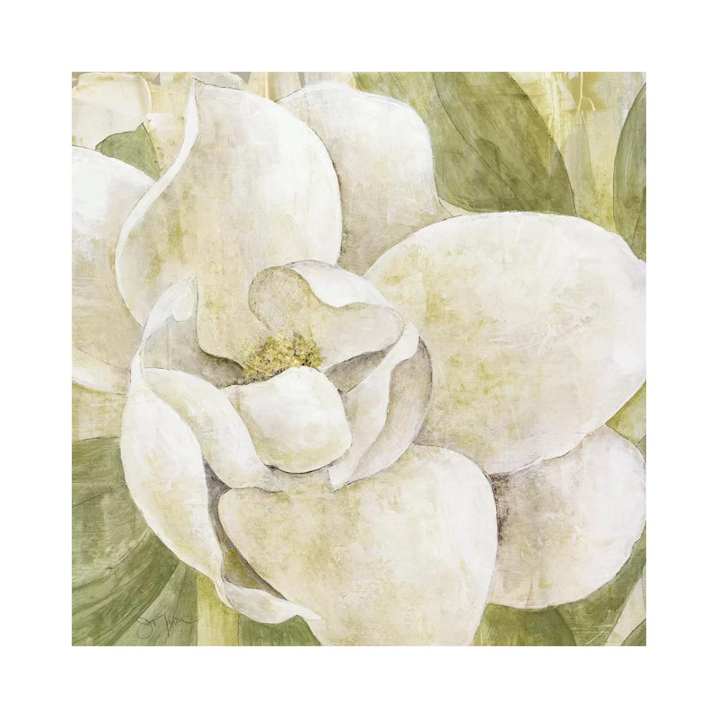 Magnolia Dolce by Tava Studios - Wrapped Canvas Painting, 30.48 cm H x 30.48 cm W