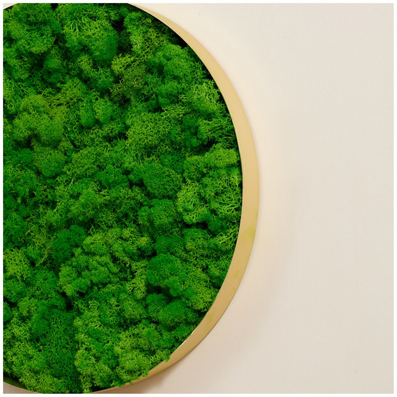 Décoration murale ronde en mousse encadrée, seulement le grand 24 po x 24 po x 2 po