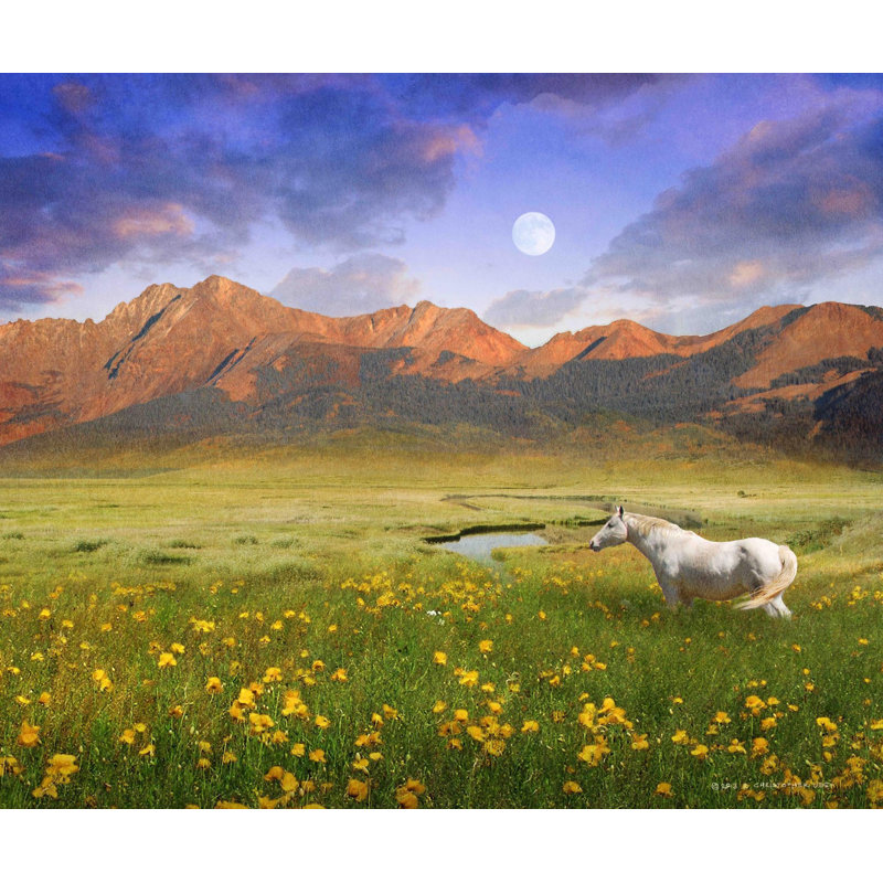 Chris Vest - Wrapped Canvas Print, 61cm H x 74cm W x 3.81cm D