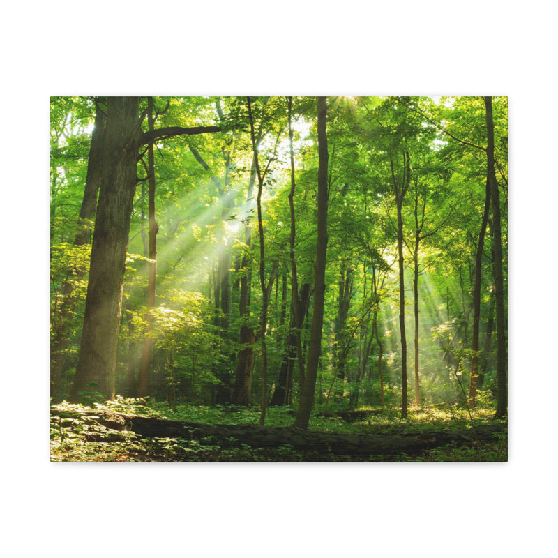 No Frame Print on Canvas, 12cm H x 18cm W