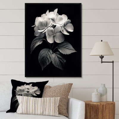 " Black White Hydrangea Blooming III "