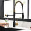 Robinet de cuisine noir et or - Purificateur avec filtre rétractable Facile à installer Robinet moderne de couleur élégante