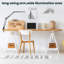 Adelais Clip On Lamp-260801549