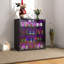 Armoire de rangement à chaussures en verre avec porte en verre