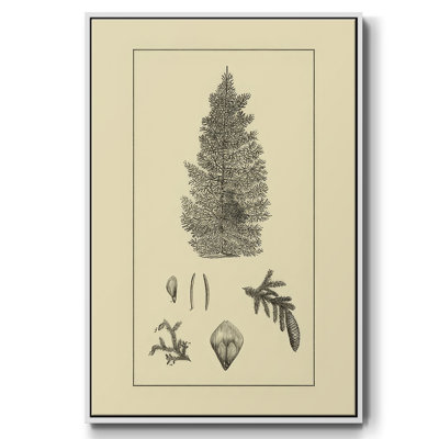 Arbor Study I