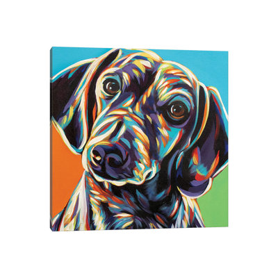 Painted Dachshund II by Carolee Vitaletti - Wrapped Canvas Gallery-Wrapped Canvas Giclée