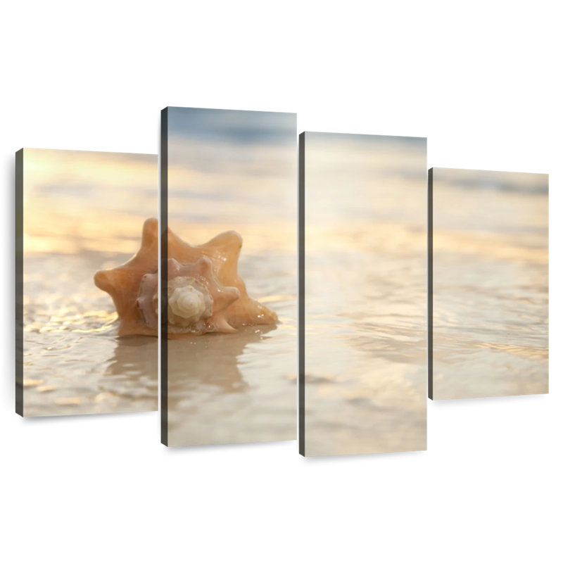 Aletra Sunrise Seashell