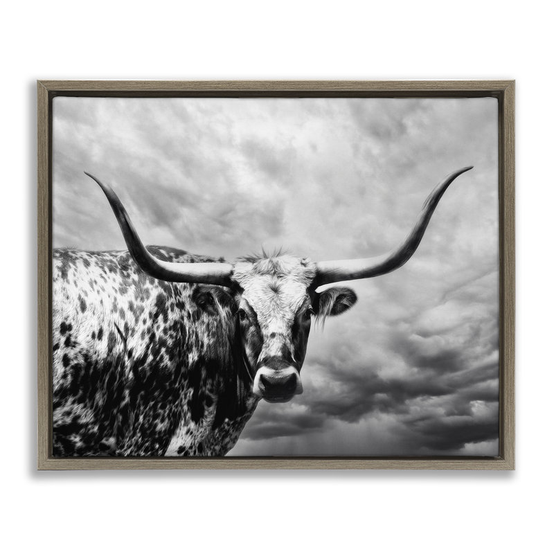 Toile flottante encadrée "Longhorn over Clouds" par PHBurchett, H 25 po x l 31 po, Cadre flottant orme Montalcino