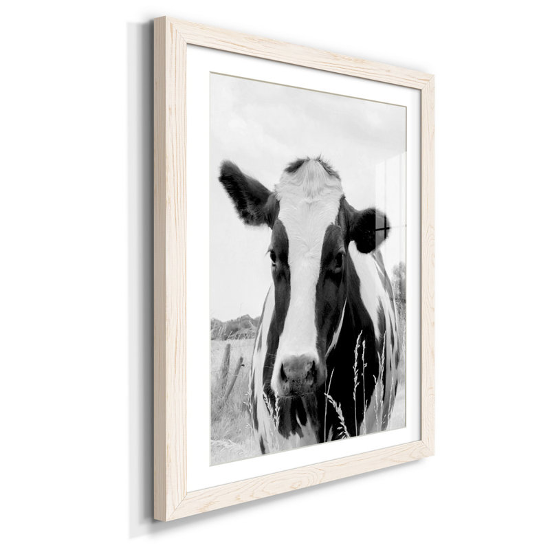 On the pasture - Reproduction de photo sur papier encadrée, Blanc, H 37,5 po x l 27,5 po x P 1,5 po