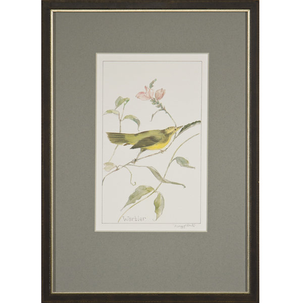 Warbler par Daughdrill - peinture encadrée