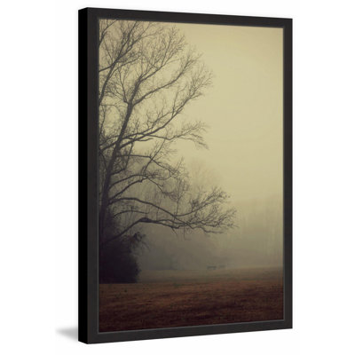 «A Gathering Of Fog» par Robin Delean - reproduction de photo