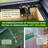 Greenhouse Multiple Sizes-72116828-87937475