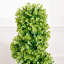 Topiaire de buis vert en spirale artificiel