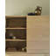Ligna China Cabinet