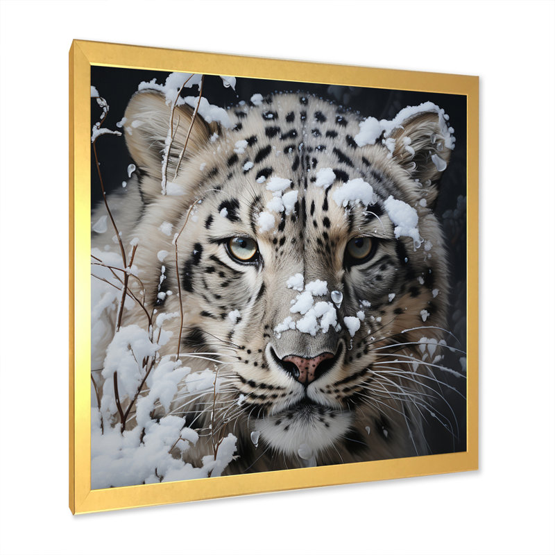 Tigre blanc en hiver IV - impression, H 30 po x l 30 po x P 1 po, Encadrement doré