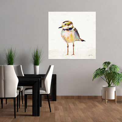 Pluvier contemporain II