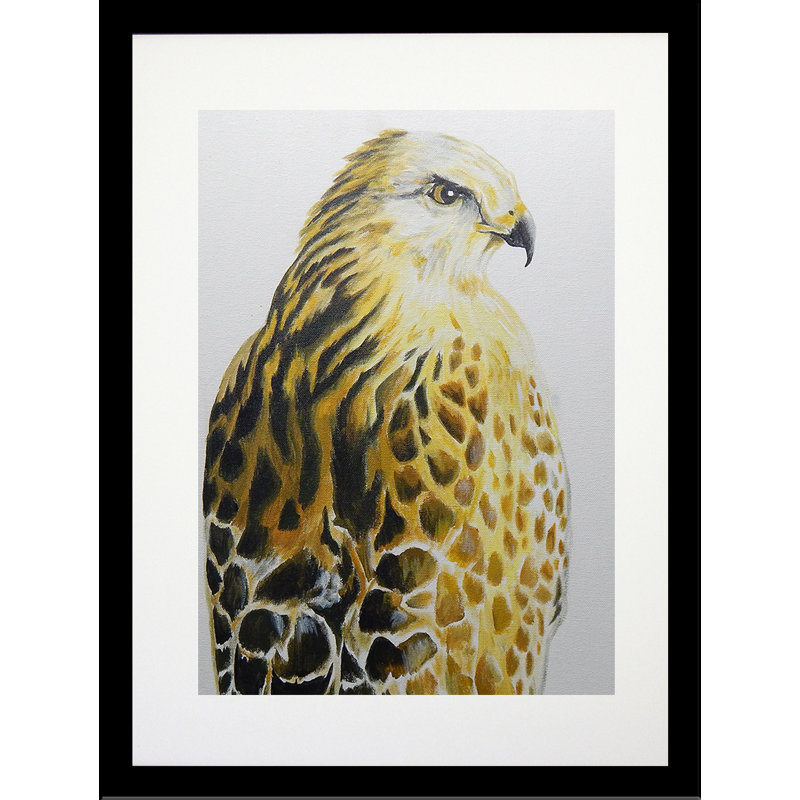 «Hawk», reproduction, H 34,5 po x l 26,5 po, Papier avec cadre noir, Pas de tapis